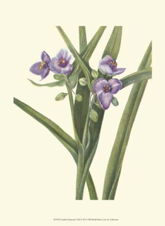 Garden Potpourri VIII