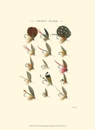 Trout Flies II