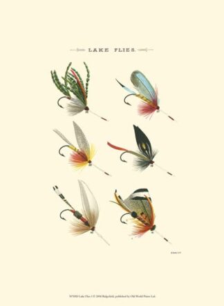 Lake Flies I