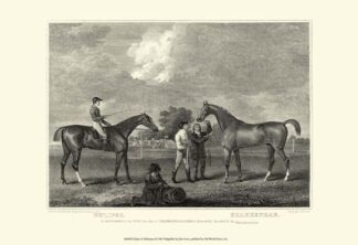 Eclipse & Shakespeare