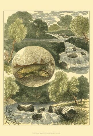 Fisherman's Vignette I