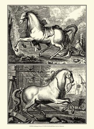 Galloping Horses I