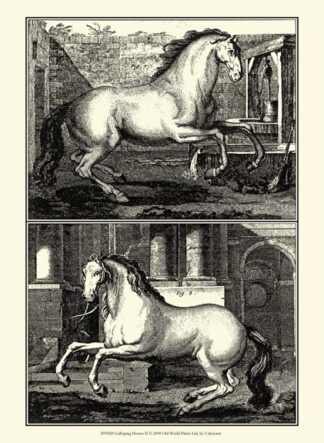 Galloping Horses II
