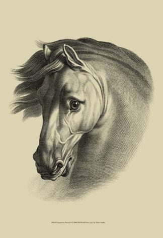 Equestrian Portrait I