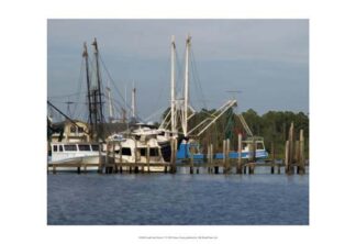 Small Safe Harbor V  ***