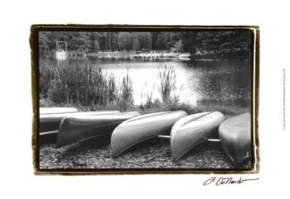 Lake Living I