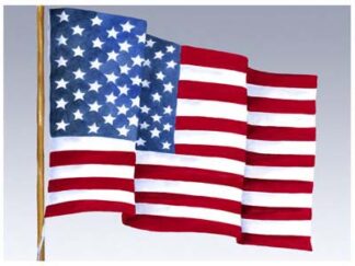 American Flag (H)