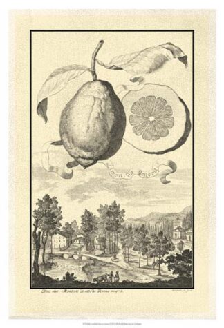 Crackled Genova Lemon