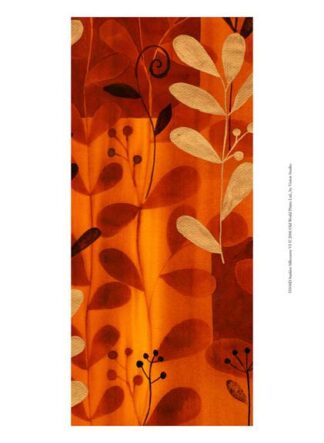 Sunkissed Silhouette VI