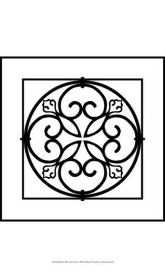 Black and White Ironwork I