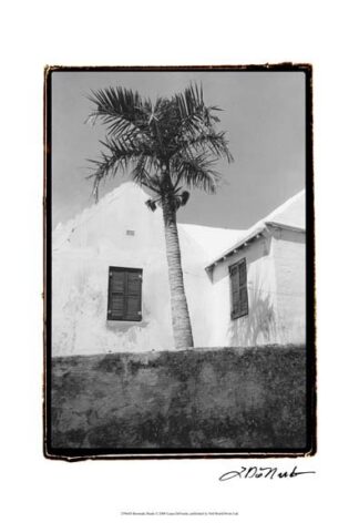Bermuda Shade