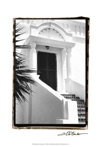 Bermuda Architecture II