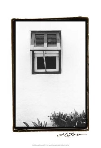 Bermuda Architecture IV