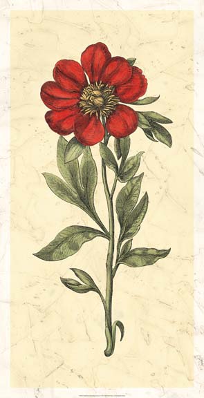 Embellished Blooming Peonies I