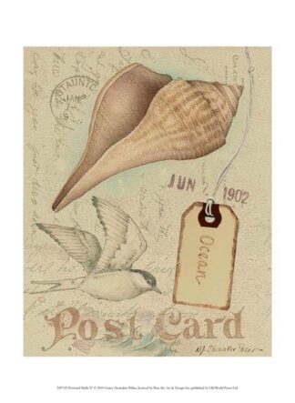 Postcard Shells IV