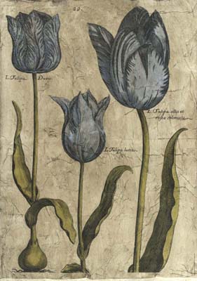 Embellished Elephant Tulips I