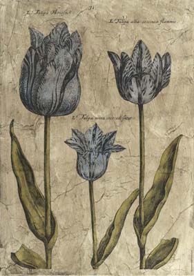 Embellished Elephant Tulips II