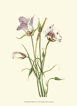 Delicate Wildflowers IV