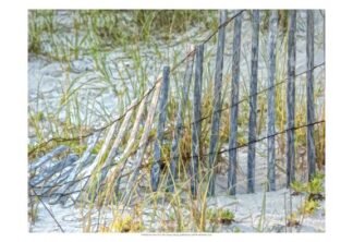 Sea Oats II