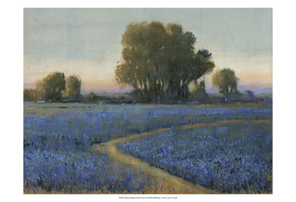 Blue Bonnet Field I