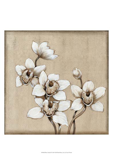 White Orchid I