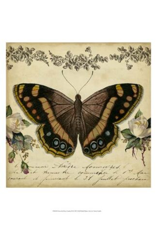 From the Rose Garden II