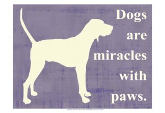 Dogs are miracles with paws