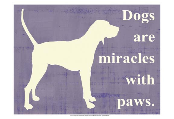 Dogs are miracles with paws