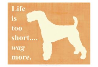 Life is too short… wag more
