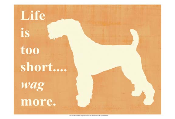 Life is too short… wag more