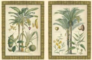 Mini Palms in Rattan