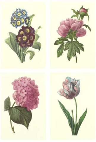 Mini Boudoin Florals