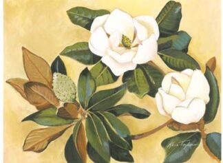 Southern Magnolia I