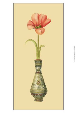 Tulip in Vase II
