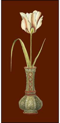 Tulip in Vase IV