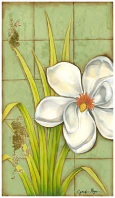 Sugar Magnolia (P) I