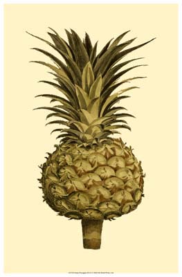 Sepia Pineapple (H) II