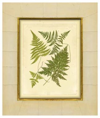 Fern with Crackle Mat (H) I