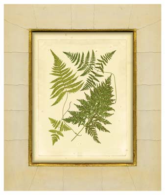 Fern with Crackle Mat (H) I