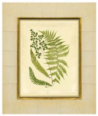 Fern with Crackle Mat (H) II