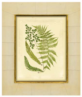 Fern with Crackle Mat (H) II