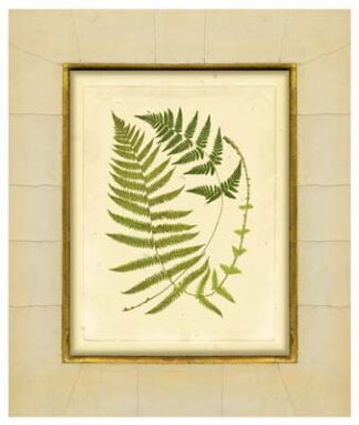 Fern with Crackle Mat (H) III