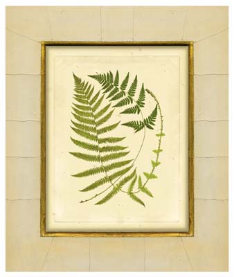 Fern with Crackle Mat (H) III