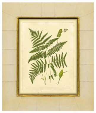 Fern with Crackle Mat (H) IV