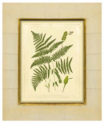 Fern with Crackle Mat (H) IV