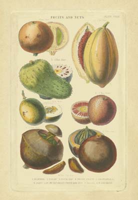Fruits and Nuts I