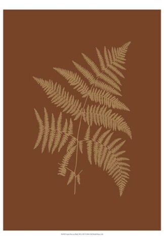 Sepia Ferns on Brick (WG) III