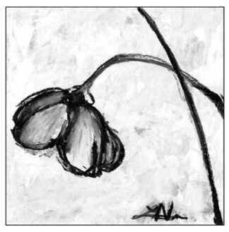 Mini Swooning Tulips II (NA)