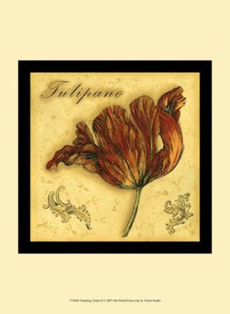 Tempting Tulips II