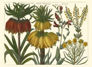 Printed Arena Botanical I